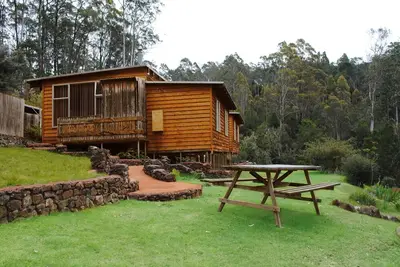 Image de Minnow Cabins seulement pacifiquement bushsetting