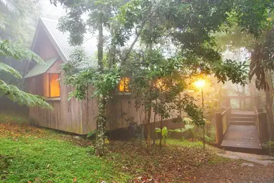 Image de Bowerbird: Mt Glorious Getaways