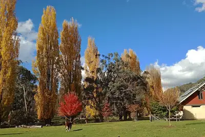 Image de Timbarra Hideaway - la retraite parfaite