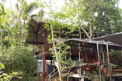 Image de Deux cottages climatisés pratiques dans une ferme fruitière avec durian, mangoustan