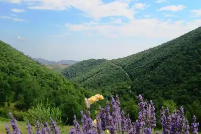 Image de Randonnée et profiter de la nature dans les Marches, en Italie au Cottage 'La Terra'