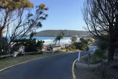 Image de Echidna - Absolute Beachfront
