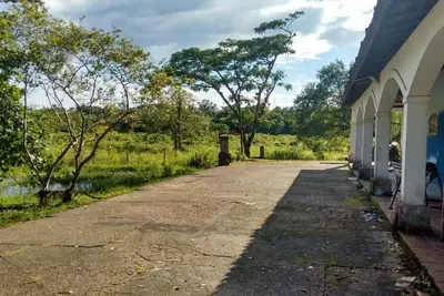 Image de Nature et bien-être