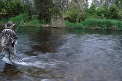 Image de Azalea Cottage - Rivière Tumut