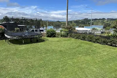 Image de Beauté kiwi classique