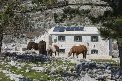 Image de Maison de dalmatien ston traditionnelle de 300 ans pour les personnes qui aiment la paix et la nature