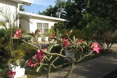 Image de Specials-One Bedroom Sunset Crest, près de la plage