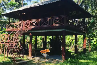 Ressourcez-vous à Rahut Tree House
