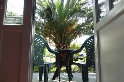 Image de La maison est sur un endroit paisible 3