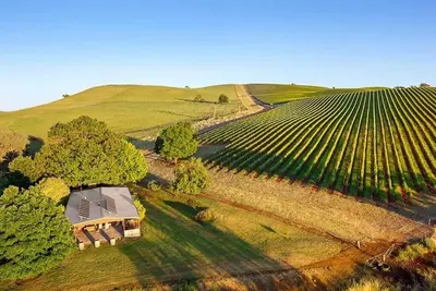 Image de Les meilleures vues de la King Valley