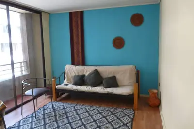 Practico, acogedor, Comodo y central departamento para dos personas en Santiago.