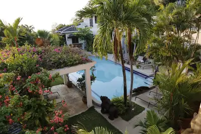 Image de Villas Casa Loma (Villa entière 2) Flamingo Beach'S Best Kept Secret depuis 30 ans