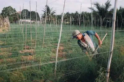 Image de Une famille d'accueil accueillante dans une campagne vietnamienne typique, à un bon prix.