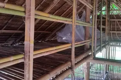 Image de Cabane naturelle en milieu rural sur petite île