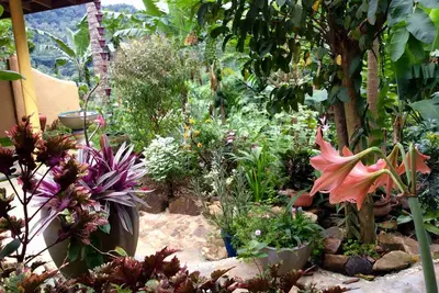 Image de Natural Mystic Sanctuary - Valley View - Eco Lodge et Wildlife Reserve