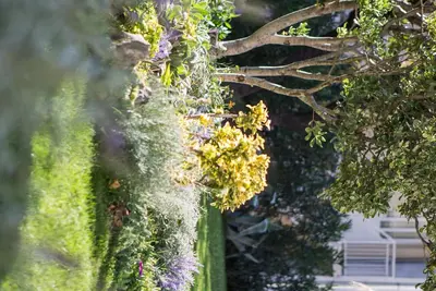 Image de Villa Markota, Magnifique Lieu Pour Une EXPÉRIENCE Familiale, jusqu'à 8 personnes