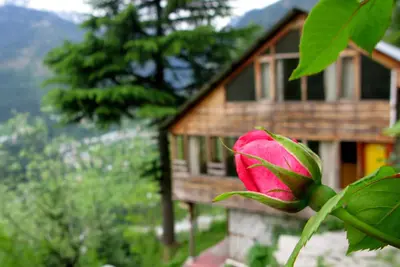 Image de Maison de Gaia - Retraite - Méditer - Créer - Maison spirituelle pour les créatifs