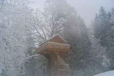 Image de Cabane perchée en lisière d'une des plus belle réserve animalière de France