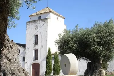 Image de Casa Alerny - Reformed Winery with Pool. Beautiful Vinyards. 7 Br, 7 Ba.