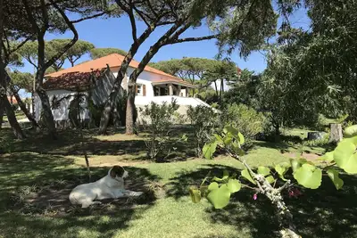 Image de Solar do Magoiti : luxueux manoir avec piscine privée à proximité de la plage