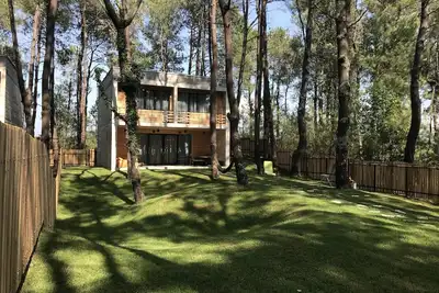 Image de Kaprovani Pine Grove