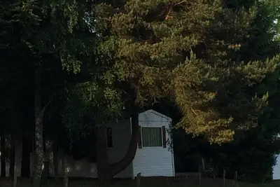 Image de Chalet confortable de l'Eifel \"Sous le bouleau\"