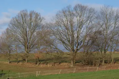 Image de trouver la paix ou des vacances actives au coeur de l'Odenwald