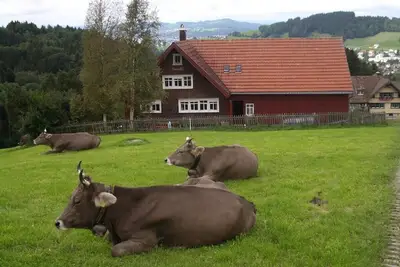 Image de Ancienne ferme confortable d'Appenzeller pour vivre seul