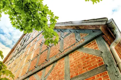 Image de Détente dans la belle lande de Lunebourg