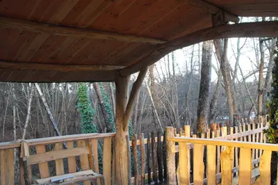 Image de Cabane dans les arbres