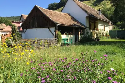 Image de Ferme romantique en Transylvanie