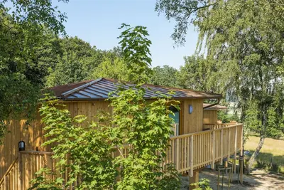 Image de Cabane dans les arbres Birkenhöhe - Aerzener Baumhaushotel Waldquelle