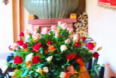 Image de Riad dans la médina de Marrakech, le meilleur emplacement