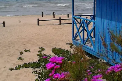 Image de Maison à quelques pas de la plage Mortelliccio loin!
