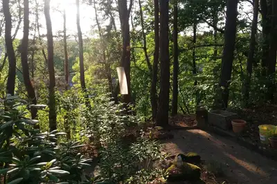 Image de Nid romantique. Oasis de paix moderne à la périphérie de Kaiserslautern. WiFi gratuit