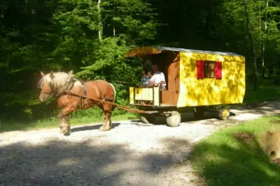 Image de Sejours En Roulotte Avec Cheval \"Decouverte Du Val D Amour\" Et Chambres D Hotes