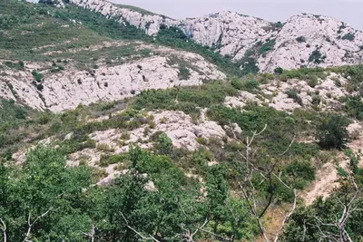 Image de Une villa en pleine nature