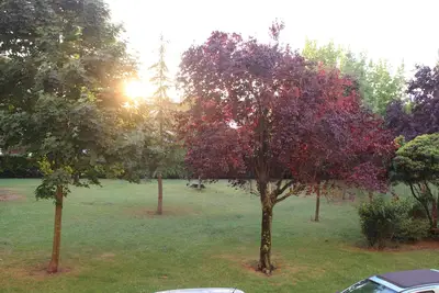 Image de Appartement 5 Personnes Bordeaux Ouest special entreprises