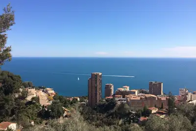 Image de \"La Palmeraie\" Maison de charme Terrasses Jardin Vue Méditerranée proche Monaco