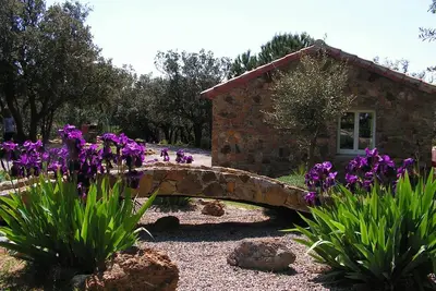 Image de gite a saint andre de roquelongue, aude, clim, avec piscine, terrasse jardin