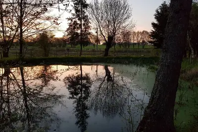 Gîte L'eau vive - Le moulin de Charin - Puy du Fou