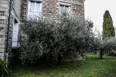 Image de Location du Canigou, Gîte 6 personnes. \nRandonnées, Patrimoine, Festivals, Cures.