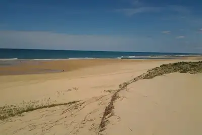 Image de Chalet confortable, grande terrasse  à 4 km de L'ocean dans la fôret landaise