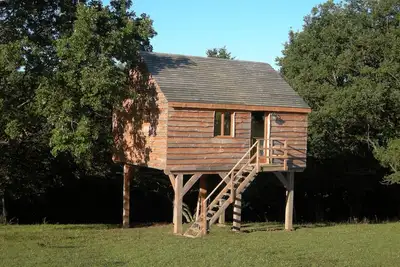 Image de Cabane perchée tout confort