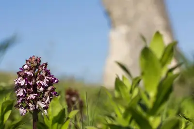 Insolite troglodytede charme