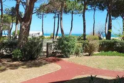 Image de Argeles direct plage Apt 2p Clim