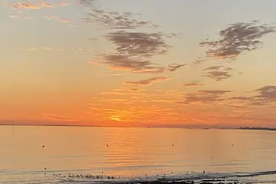 Image de The ermine at the top of the beach