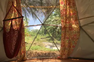 Image de Dômes géodésiques dans la jungle