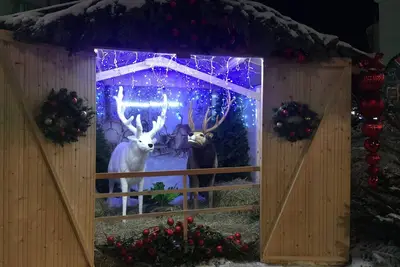 Image de chalet maison des cerfs