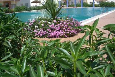 Image de Appartement de charme Ă deux pas de la plage avec trois piscines et des jardins